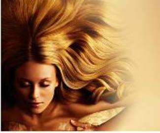 ALPHA CUT ファッションワン店 | 名駅のヘアサロン