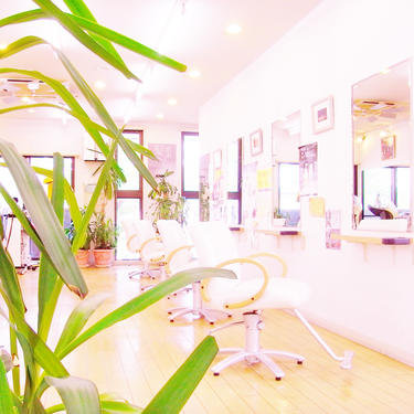 カットショップ・ハーディーズ | 横須賀のヘアサロン