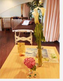 Salon de Wellness | 横須賀のエステサロン Salon de Wellness | 横須賀のエステサロン