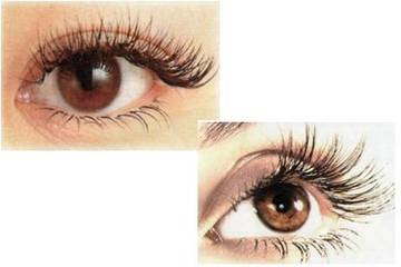 資生堂サナエ美容室逗子店～アイラッシュ～ | 逗子のアイラッシュ