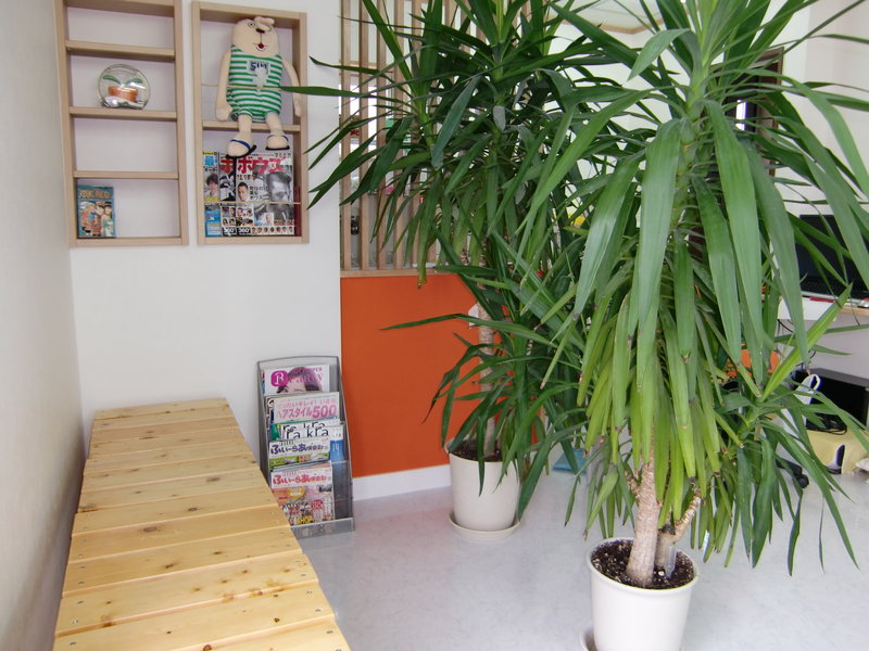 ヘアリゾート・オアシス（ＯＡＳＩＳ） | 弘前のヘアサロン