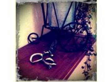 Say's Hair | 白石区/南区/豊平区周辺のヘアサロン Say's Hair | 白石区/南区/豊平区周辺のヘアサロン