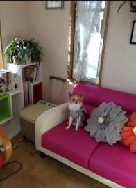 COPAIN | 宇部のヘアサロン COPAIN | 宇部のヘアサロン