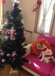 COPAIN | 宇部のヘアサロン COPAIN | 宇部のヘアサロン