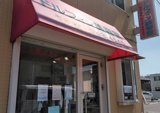 ドルフィン美容室 | 岩国のヘアサロン