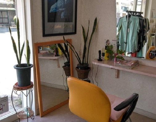 ドルフィン美容室 | 岩国のヘアサロン