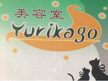 美容室ゆりかご | 浜松のヘアサロン