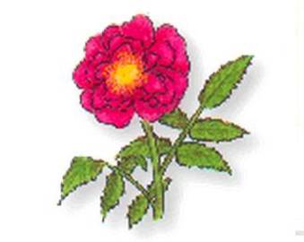 リフレッグ香音 | 秋田のリラクゼーション