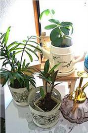 Lafure | 秋田のエステサロン