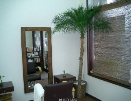 Ami-ca | 糸満のヘアサロン