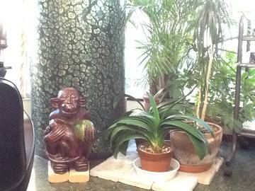 Wave美容室 | 千葉のヘアサロン