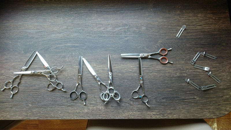 HAIR MAKE SALON ANT`S | 宇部のヘアサロン