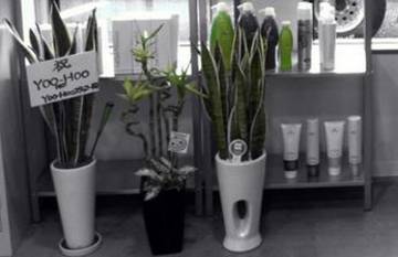 YOO-HOO 堀米店 | 佐野のヘアサロン YOO-HOO 堀米店 | 佐野のヘアサロン