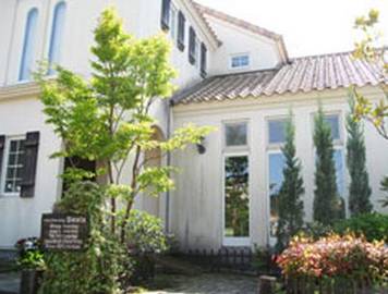 Hairdressing Siesta | 中津川のヘアサロン Hairdressing Siesta | 中津川のヘアサロン