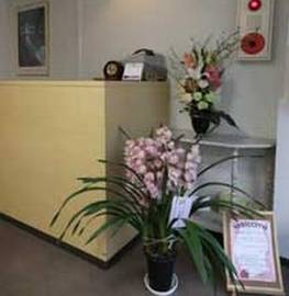 DORUCHE | 蒲田のエステサロン DORUCHE | 蒲田のエステサロン