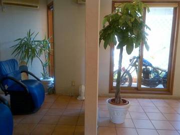 HAIR space Pierrot-Link | 大垣のヘアサロン HAIR space Pierrot-Link | 大垣のヘアサロン