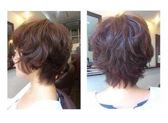 stellahair | 袋町/本通/紙屋町/立町のヘアサロン