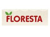 フロレスタ FLORESTA | 川崎のヘアサロン