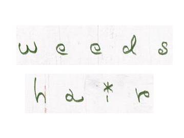 ウィーズ（ＷＥＥＤＳ） | 横浜のヘアサロン