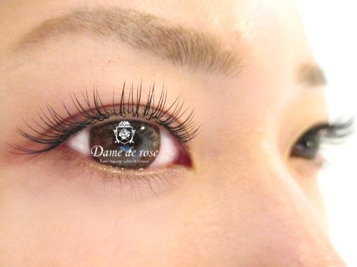 Dame de rose | 岐阜のアイラッシュ