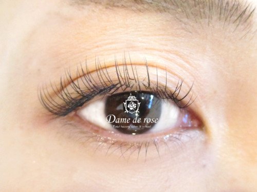Dame de rose | 岐阜のアイラッシュ Dame de rose | 岐阜のアイラッシュ