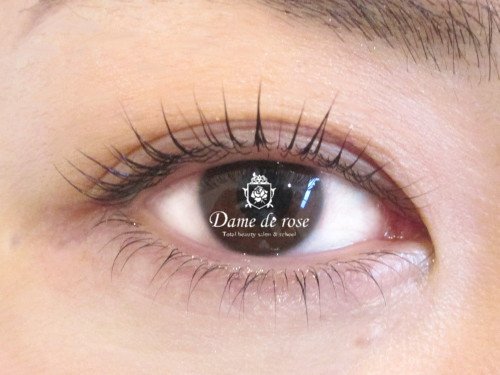 Dame de rose | 岐阜のアイラッシュ Dame de rose | 岐阜のアイラッシュ