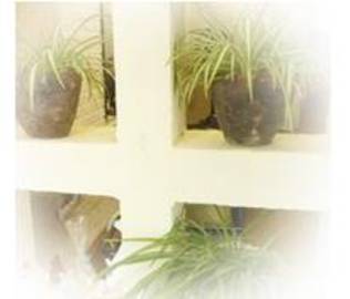 elfe | 我孫子のヘアサロン