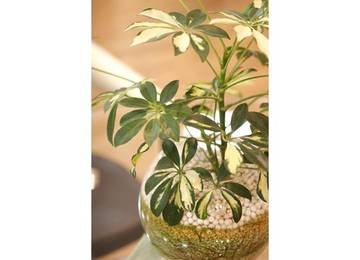 ar-f | 横浜のヘアサロン ar-f | 横浜のヘアサロン