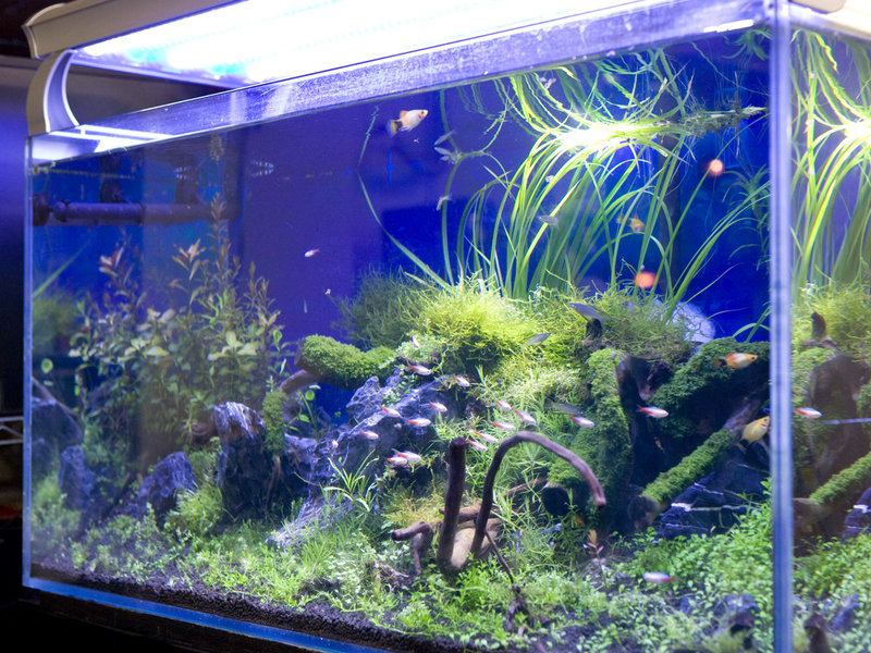 hair space CRAFT | 明大前のヘアサロン