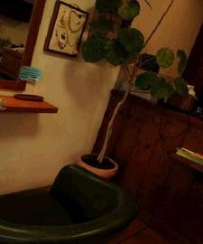 Bam　Hair | 橋本/次郎丸/野芥のヘアサロン