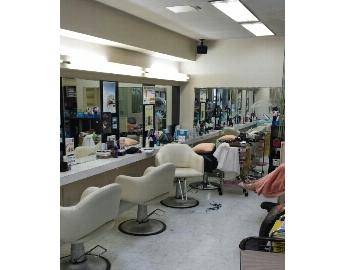 MEDIA MODA OZ　志木店 | 志木のヘアサロン