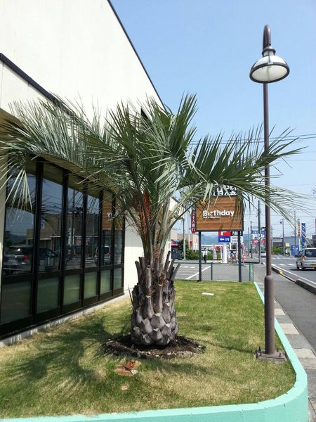 Birthday | 岐阜のヘアサロン Birthday | 岐阜のヘアサロン