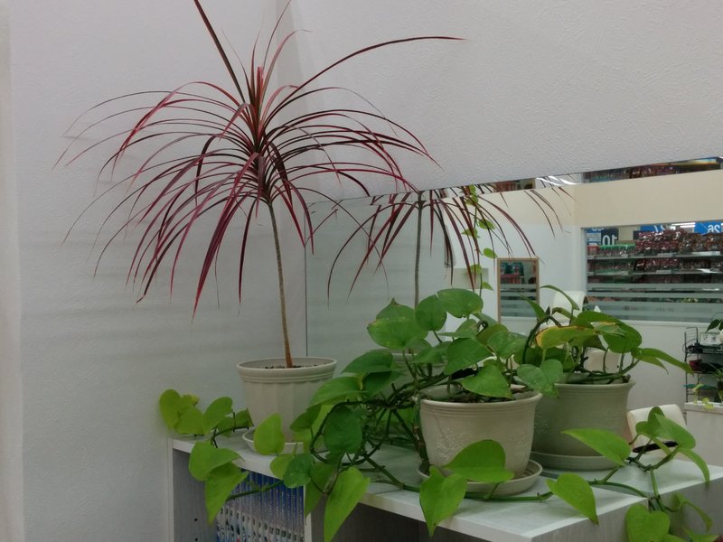 mike・neo | 佐倉のヘアサロン