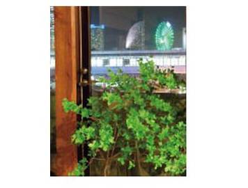 Voila | 桜木町のヘアサロン