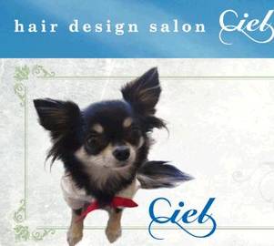ヘアーデザインサロン シエル Ciel | 岐阜のヘアサロン