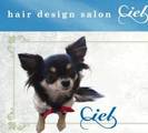 ヘアーデザインサロン シエル Ciel | 岐阜のヘアサロン