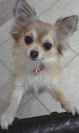 Je suis comme je suis | 本町のヘアサロン Je suis comme je suis | 本町のヘアサロン