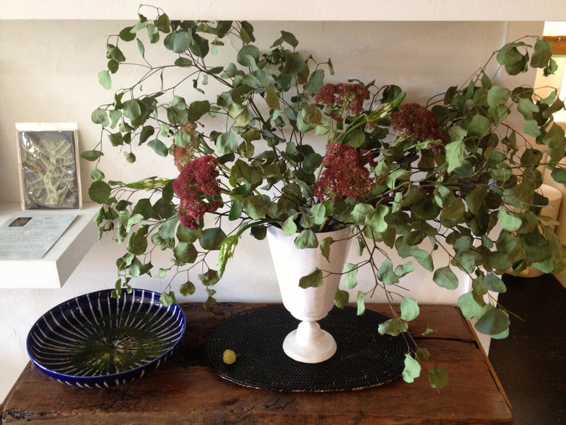 i pesci | 代官山のヘアサロン