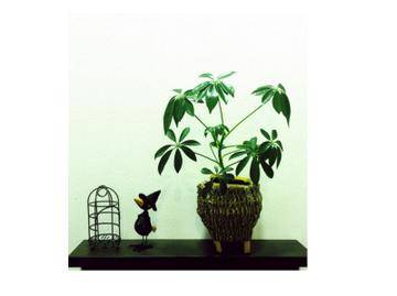 kotii byAZhai | 藤が丘のヘアサロン