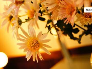 美容室　Siesta | 宇陀のヘアサロン