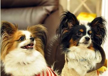 美容室ＧｒｅｅｎＲｏｏｍ | 千葉のヘアサロン