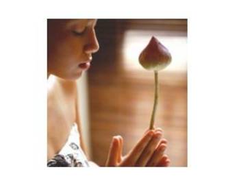 サアートタイ古式マッサージ | 橿原のリラクゼーション