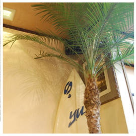 SCHON RICH YUUKI | 桜井のヘアサロン SCHON RICH YUUKI | 桜井のヘアサロン