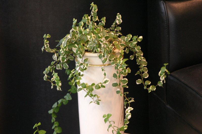 レモンハウス　学園前店 | 奈良のヘアサロン