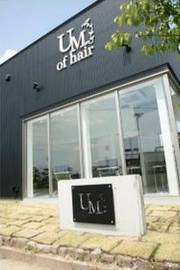 UM of hair | 蒲郡のヘアサロン