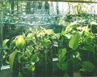 008（ダブルオーエイト） | 下北沢のヘアサロン