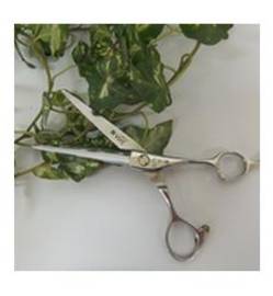 Salon de May | さくらのヘアサロン