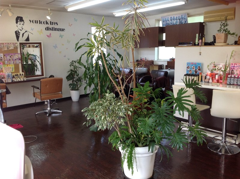 ヘアーメイクTEN | 石岡のヘアサロン ヘアーメイクTEN | 石岡のヘアサロン