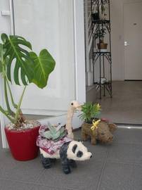 melc hair salon | 甲府のヘアサロン melc hair salon | 甲府のヘアサロン