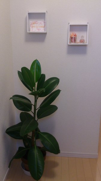 田園都市線青葉台 美容矯正のSAMYUS | 青葉台のエステサロン 田園都市線青葉台 美容矯正のSAMYUS | 青葉台のエステサロン